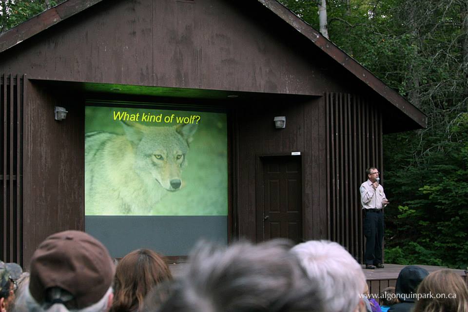 Algonquin Park Public Wolf Howls