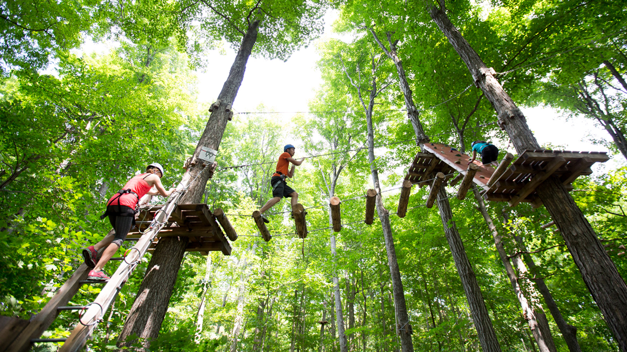 Treetop Trekking at Deerhurst Resort