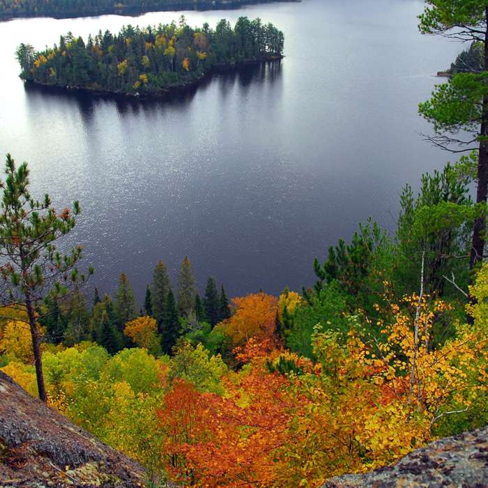 Visiting Algonquin Park 101