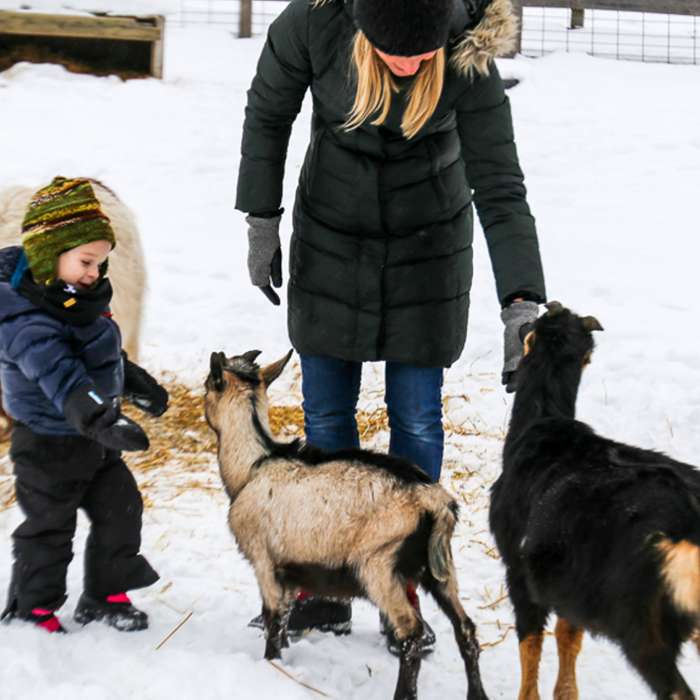 Stoneleigh Farms at Deerhurst