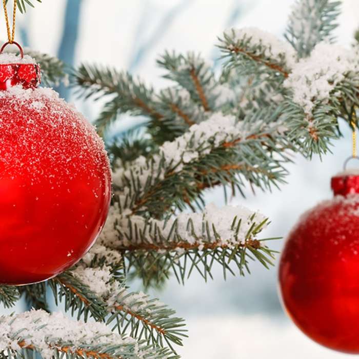 Christmas in Muskoka Package