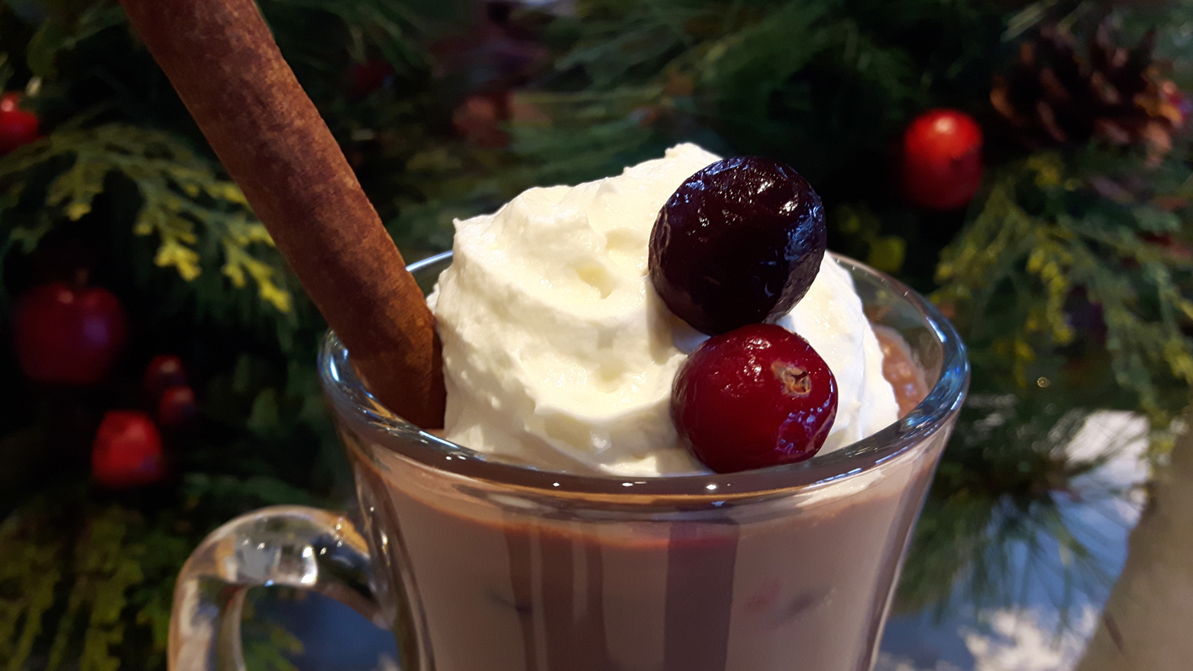 https://deerhurstresort.com/uploads/2016/12/blog-holiday-recipes-red-wine-hot-chocolate.jpg