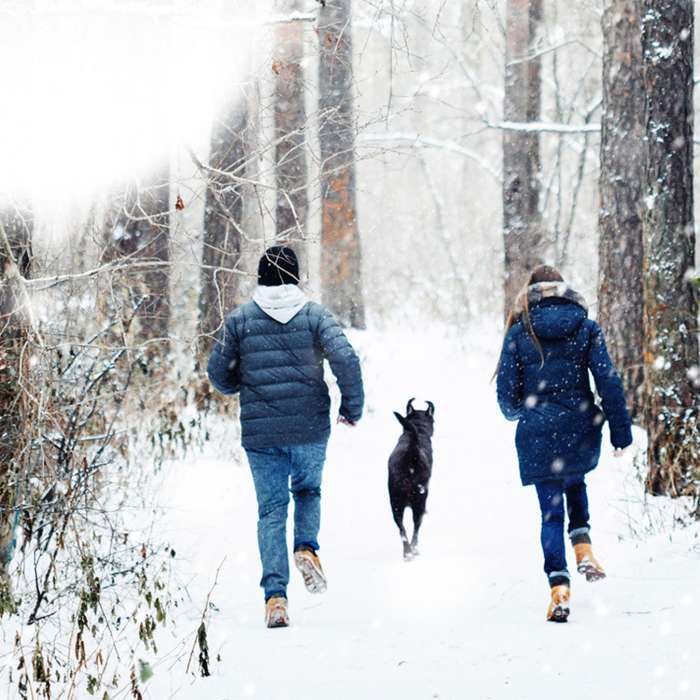 Winter Getaway Special