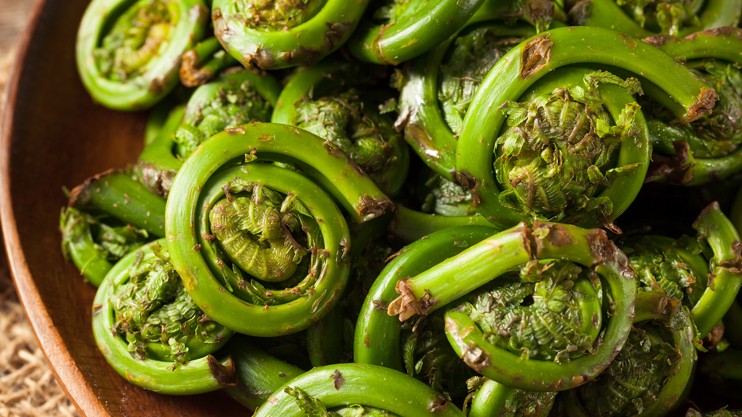 What the Heck is a Fiddlehead?