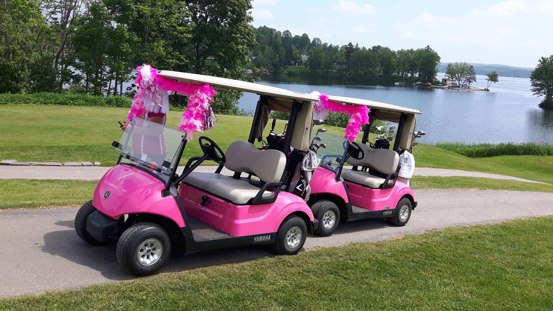 pink golf buggy