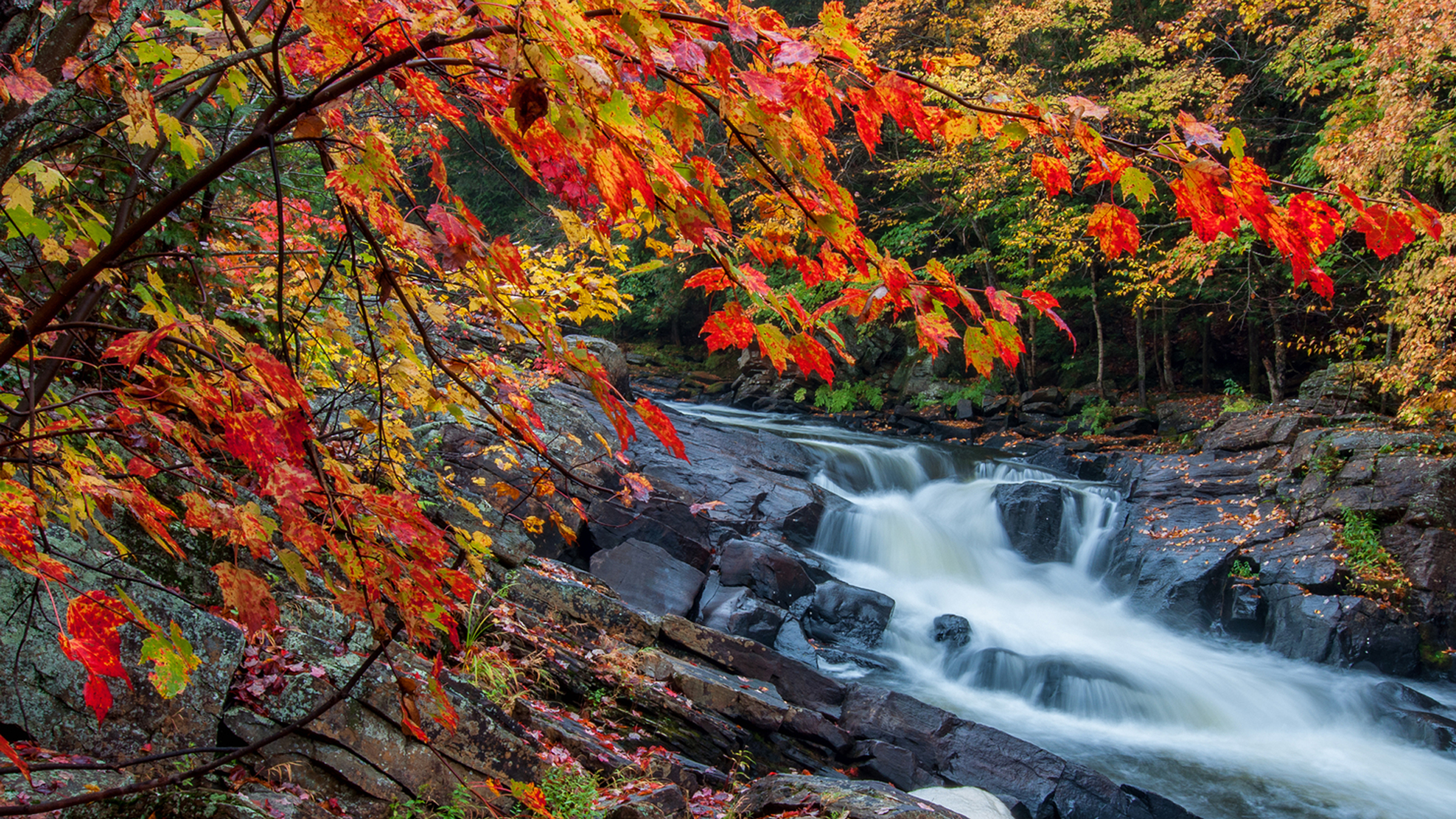 Algonquin Colours Package