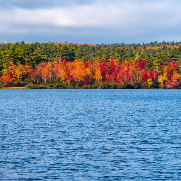 Muskoka Fall Getaway