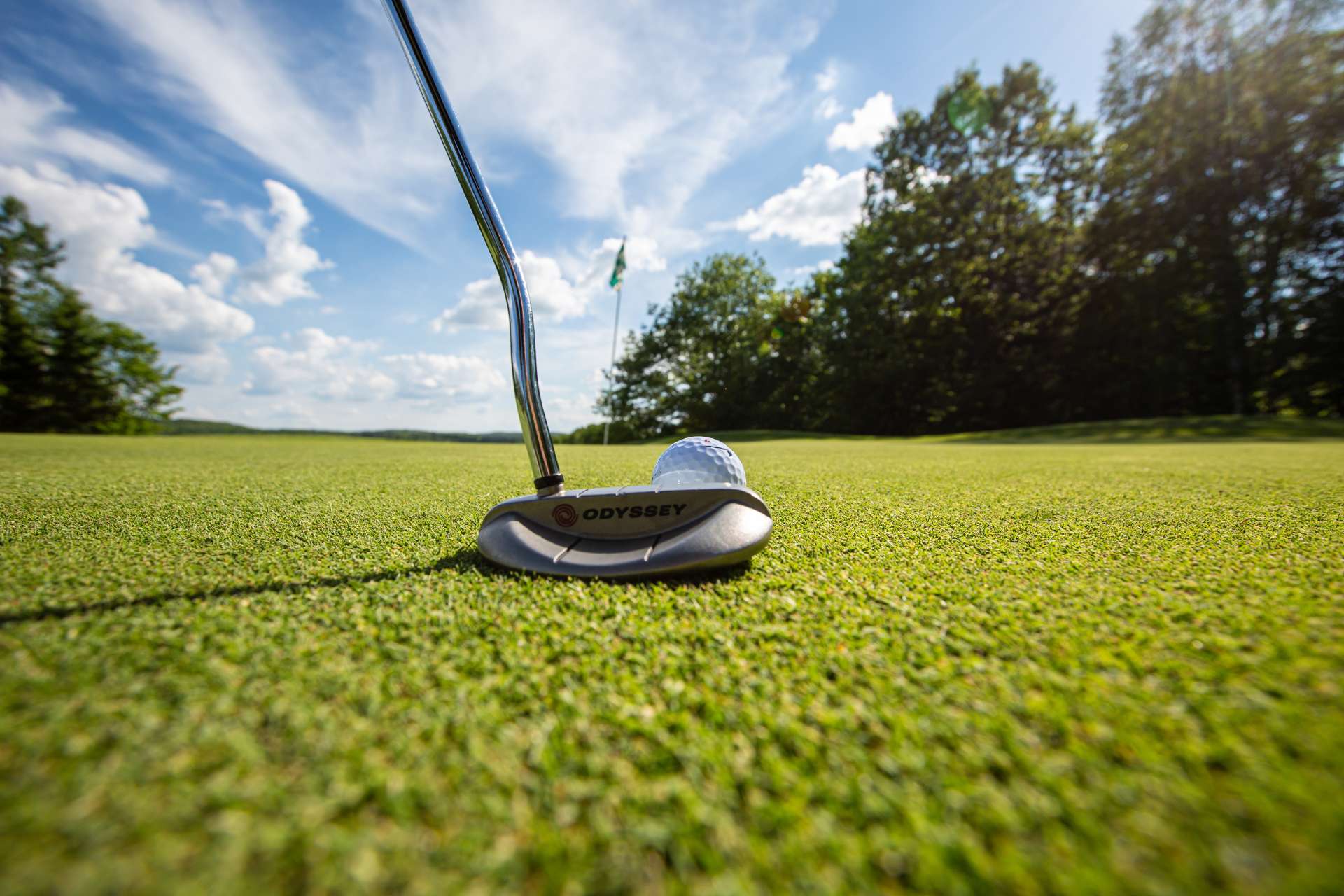 Closeup view of a golf club before a ball on the green