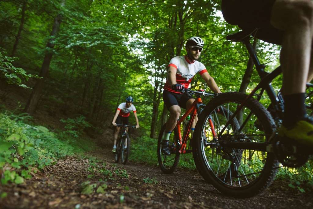 three mountain bikers on a forest trail