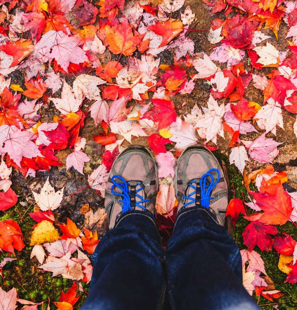 Off The Beaten Path: How to Check Out Fall Colours Like a Local