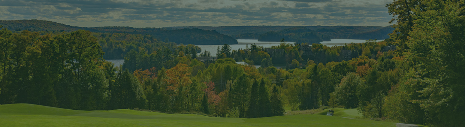 View of trees and lake in distance from a golf hole
