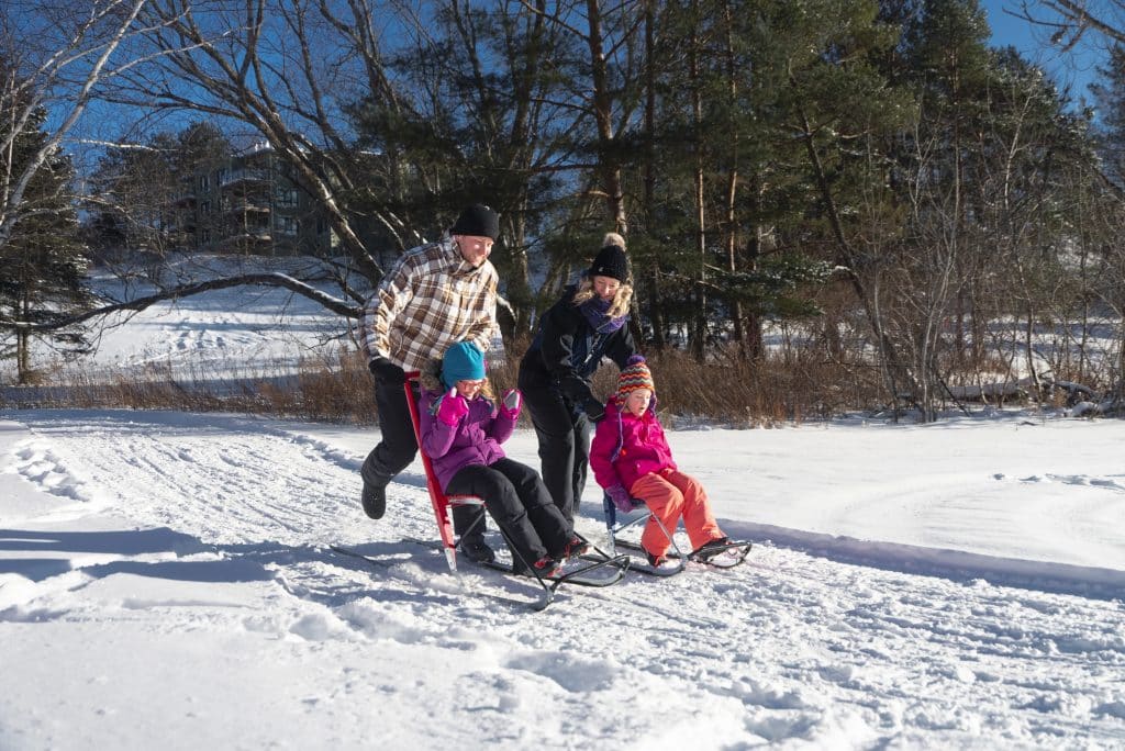 family kickshield winter snow