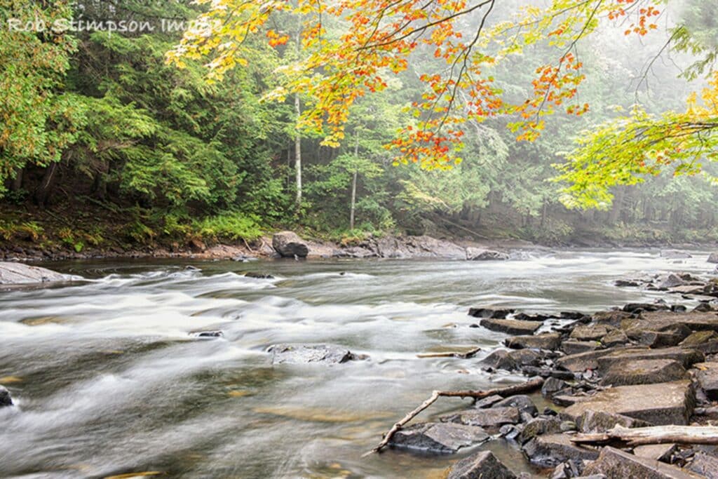 Ragged falls oxtongue river