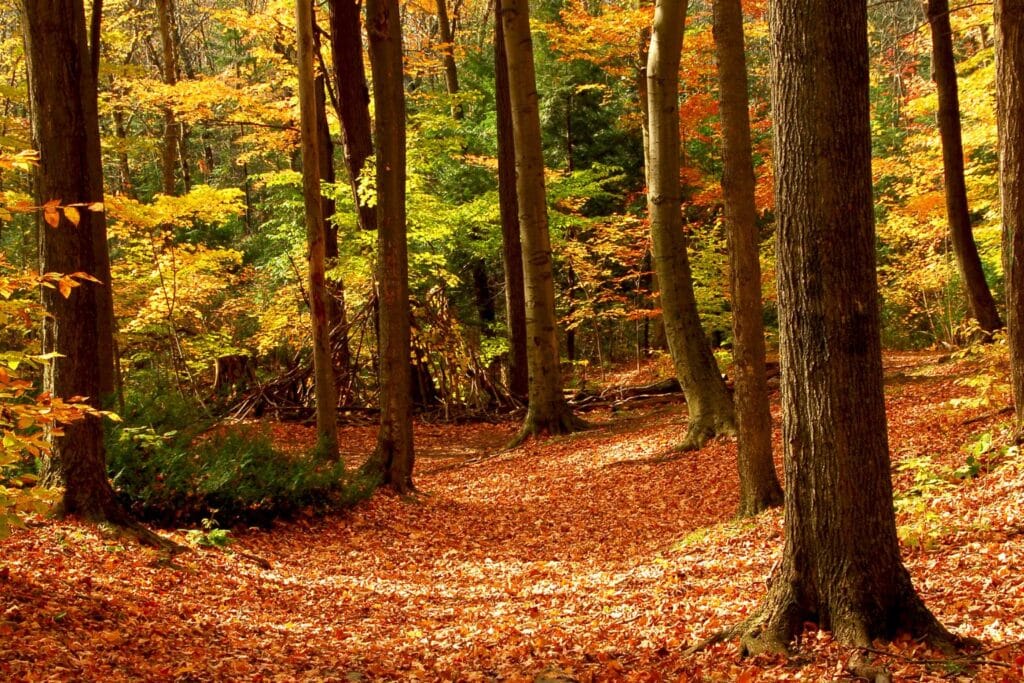 Our Top Spots to Photograph the Amazing Fall Colours